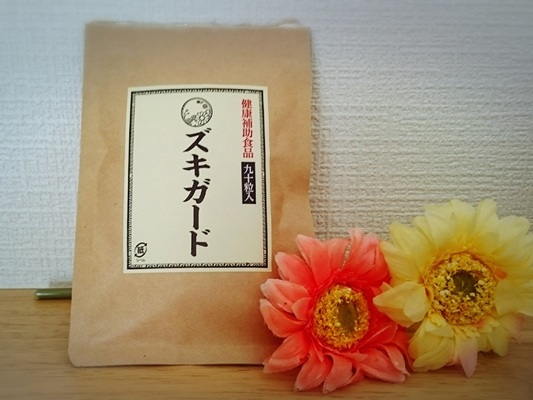 ズキガードについて